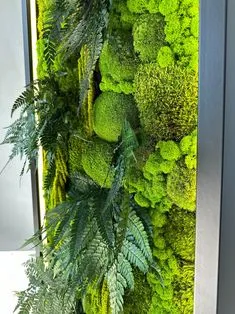 Dzsungel hatású faldekoráció plant design studio