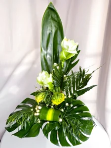 plant design studio csoktok