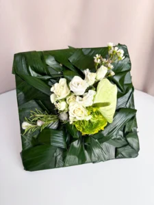 plant design studio csoktok