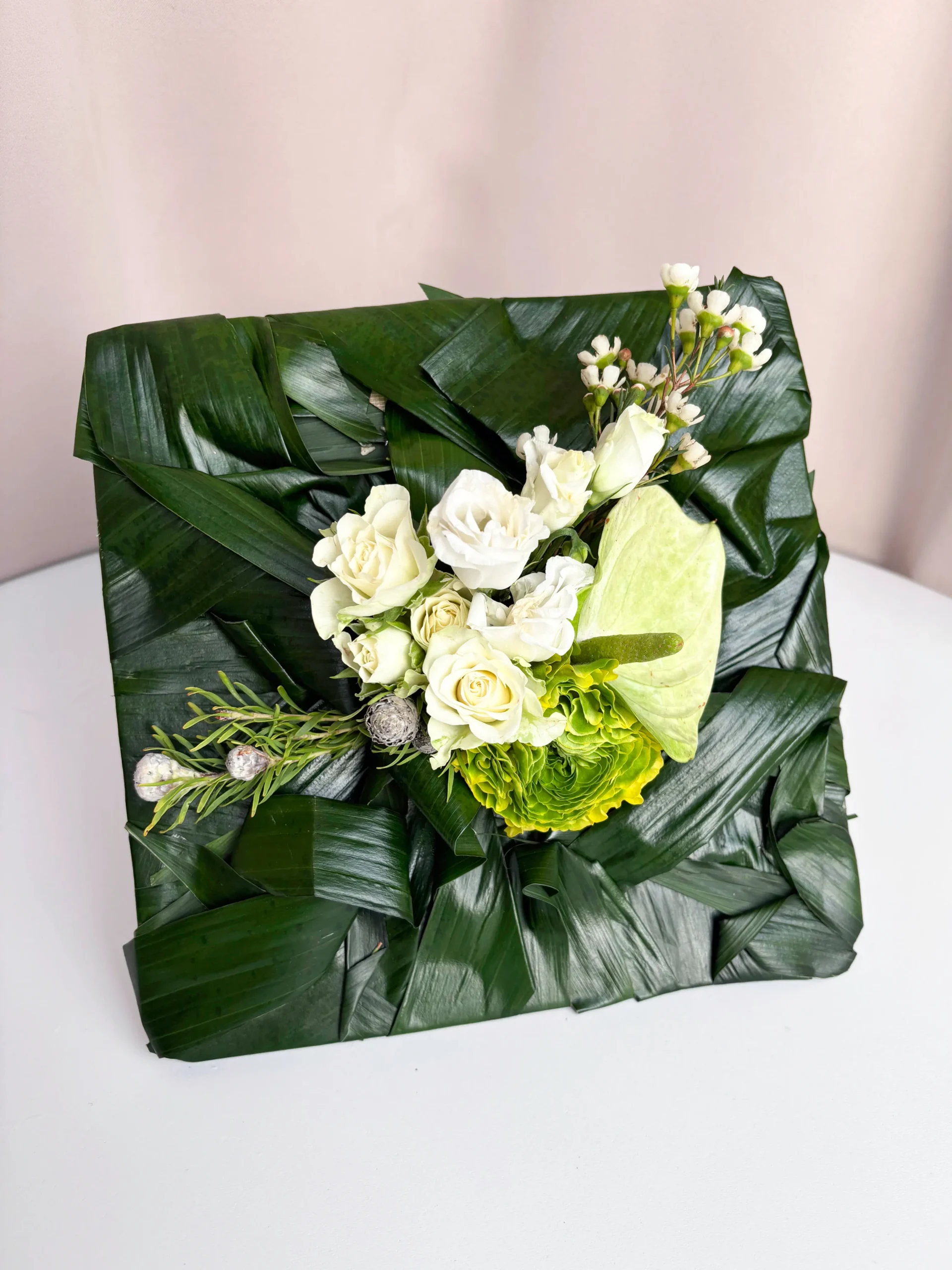 plant design studio csoktok