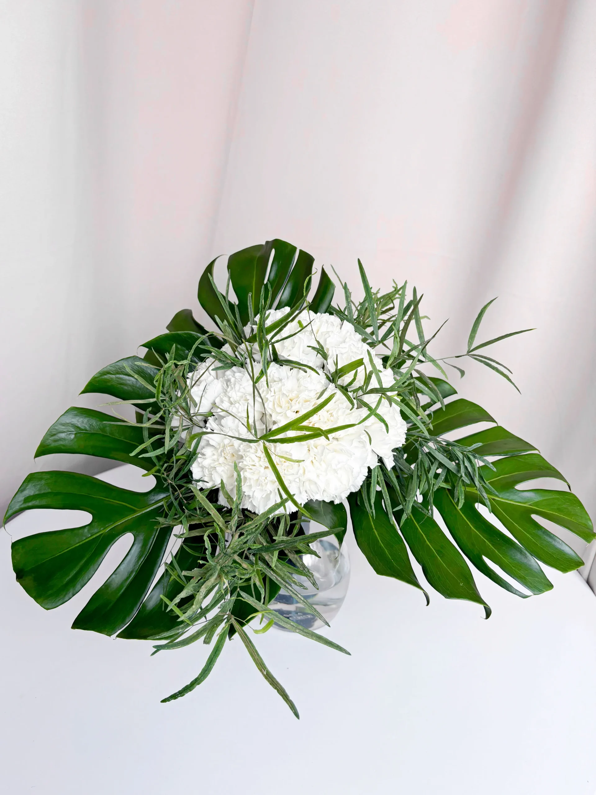 plant design studio csoktok