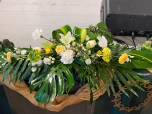 plant design studio rendezveny