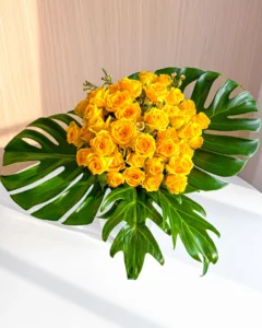 plant design studio rendezveny